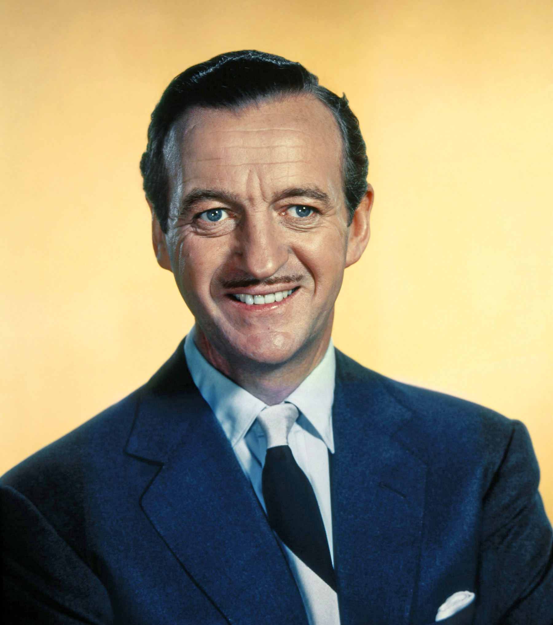 David Niven @ 5minutebiographies.com | David niven, Movie stars, Actors